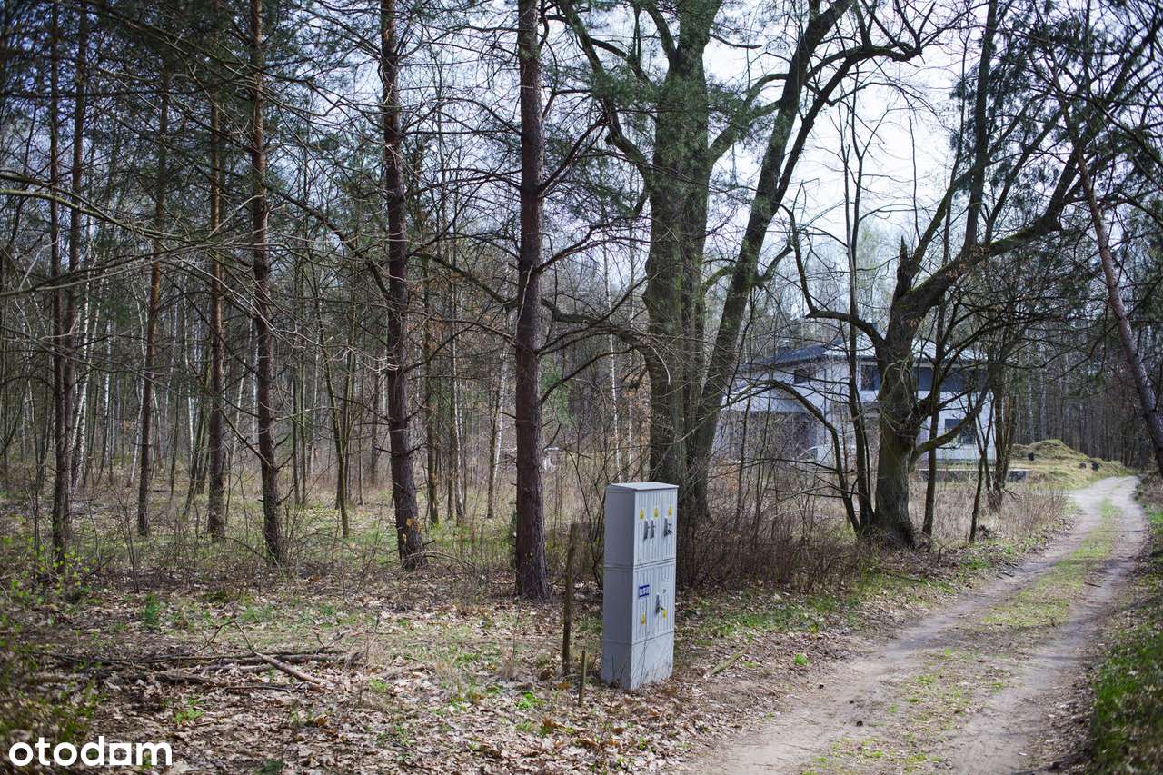 Wyjątkowa działka 4135 m2, Stara Miłosna, ok. ul. Torfowa - Pełny obrazek: 2/2