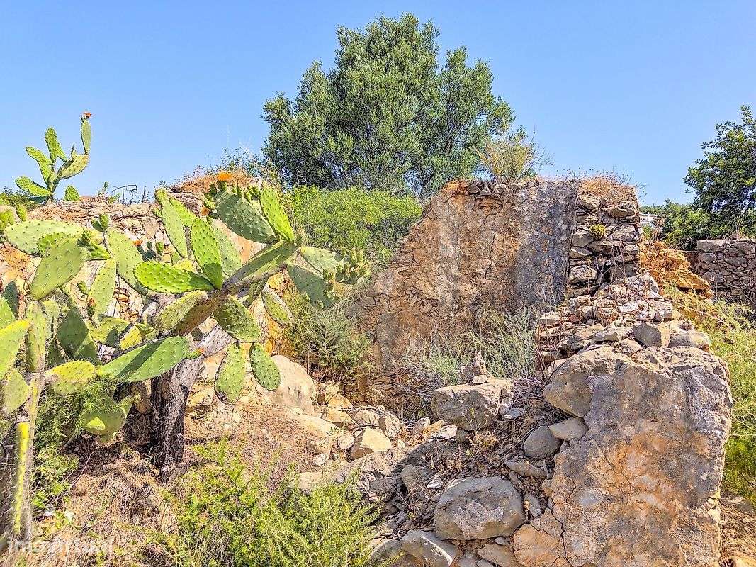 Terreno  para venda-6