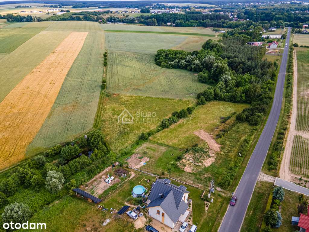 Duża działka budowlana blisko Włoszakowic - Pełny obrazek: 4/4
