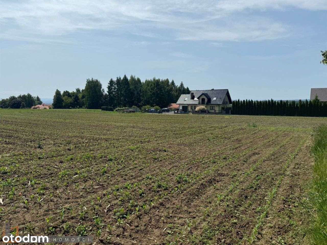 Działka, 1 000 m², Górna Wieś - Pełny obrazek: 5/5