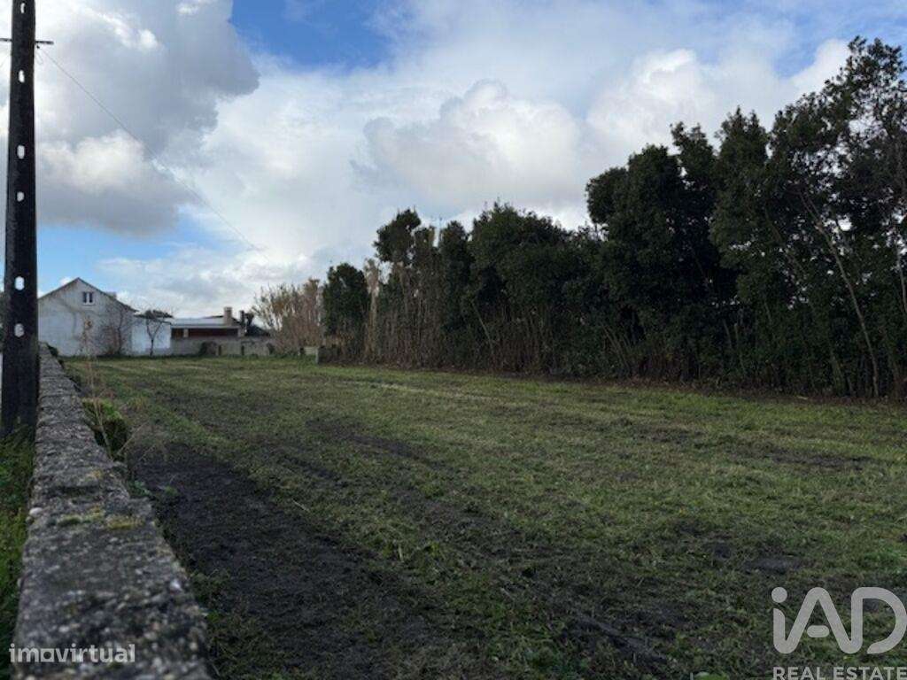 Terreno em Monte Real e Carvide - Grande imagem: 5/19