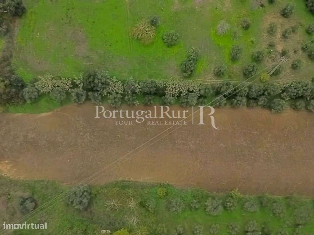 Quinta com 13.000 m² e 3 Moradias no Cartaxo, Póvoa da Isenta-35
