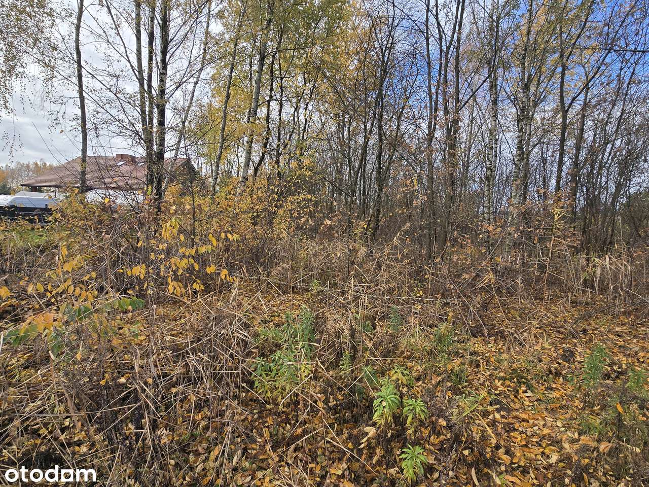 Działka 1454 m² na sprzedaż w atrakcyjnej cenie - Pełny obrazek: 4/7