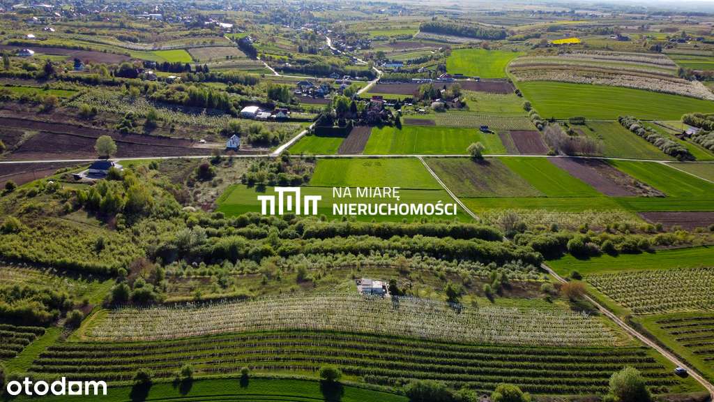 Działka w Sandomierzu | 37.9 a | Piękna okolica - Pełny obrazek: 5/9