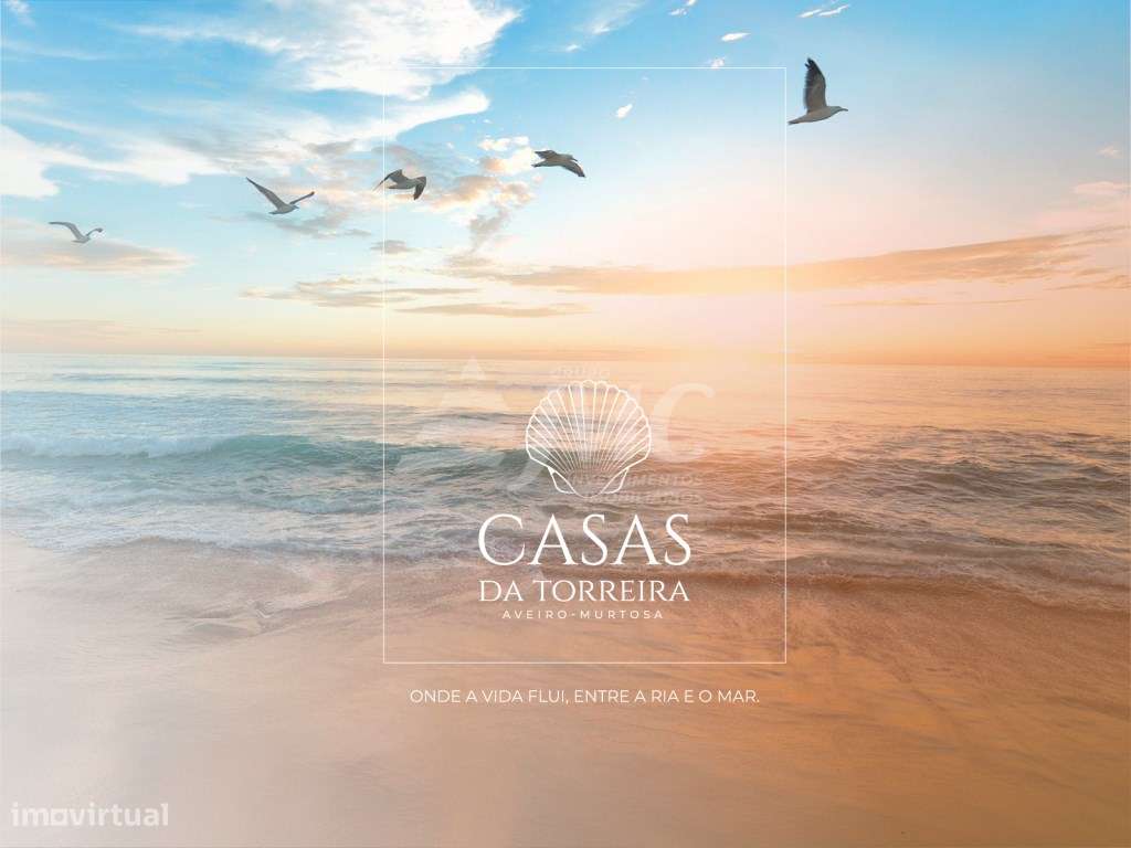 Terreno a 500mts da praia em zona tranquila - 2,5Km Torreira - Grande imagem: 4/17