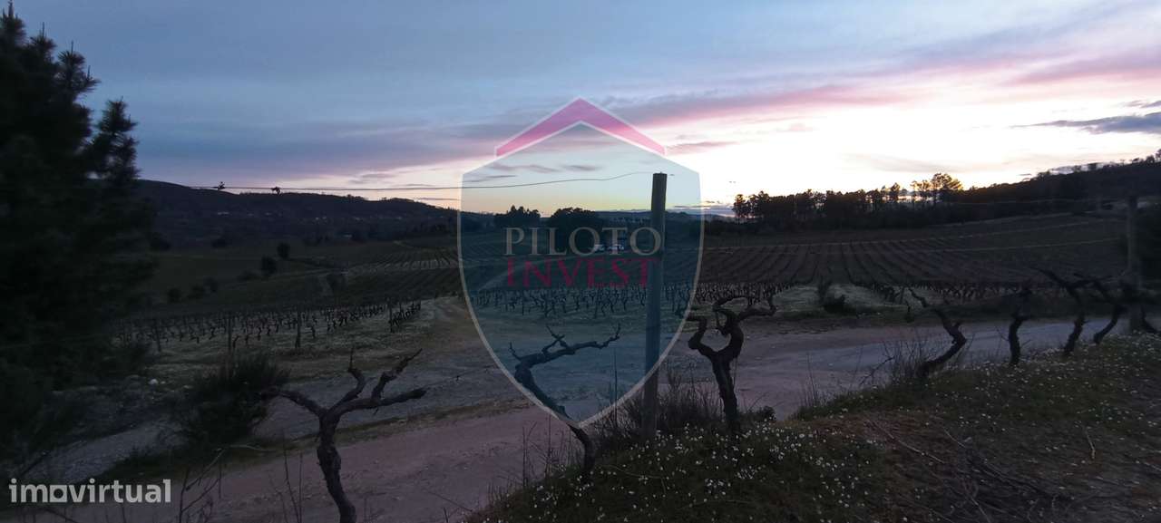 Quinta  Venda em Sezures,Penalva do Castelo-13