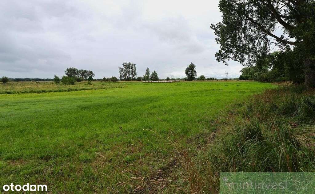 Działka rolna 4,86 ha Żarnowo-11