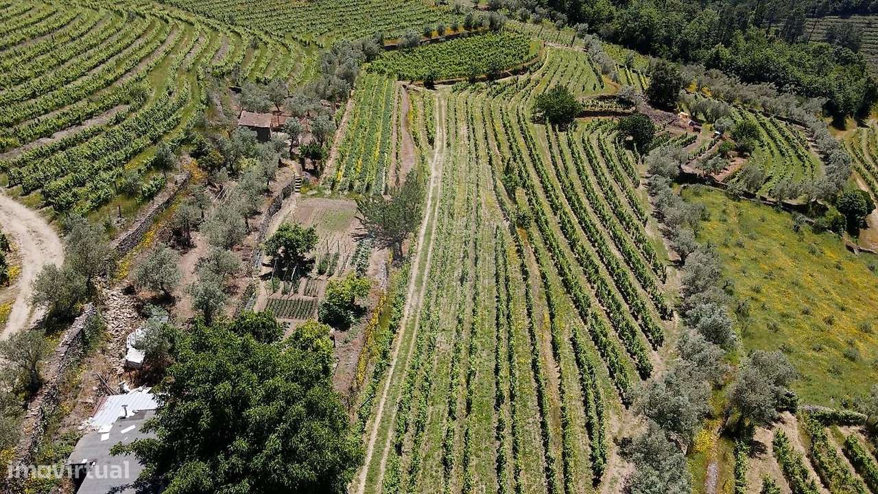 Quinta T3 para venda - Grande imagem: 5/26