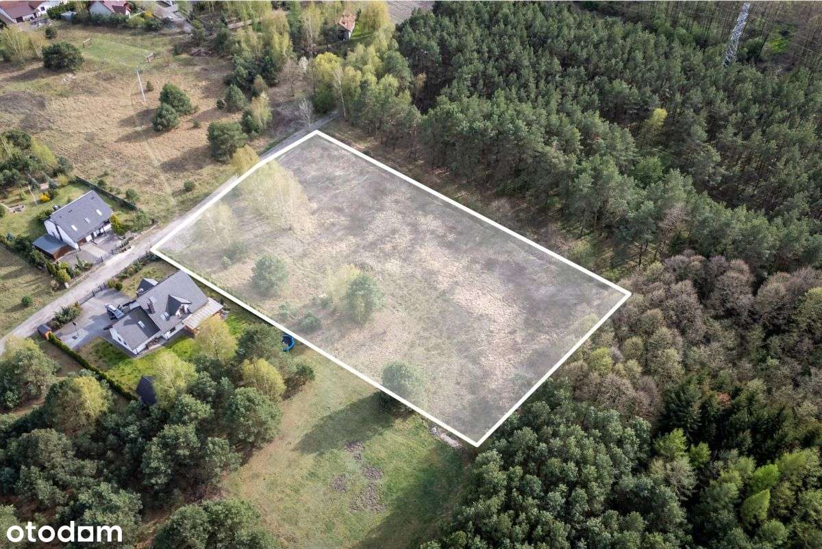 Otoczenie lasu Możliwy podział na 6 działek Plan - Pełny obrazek: 5/10