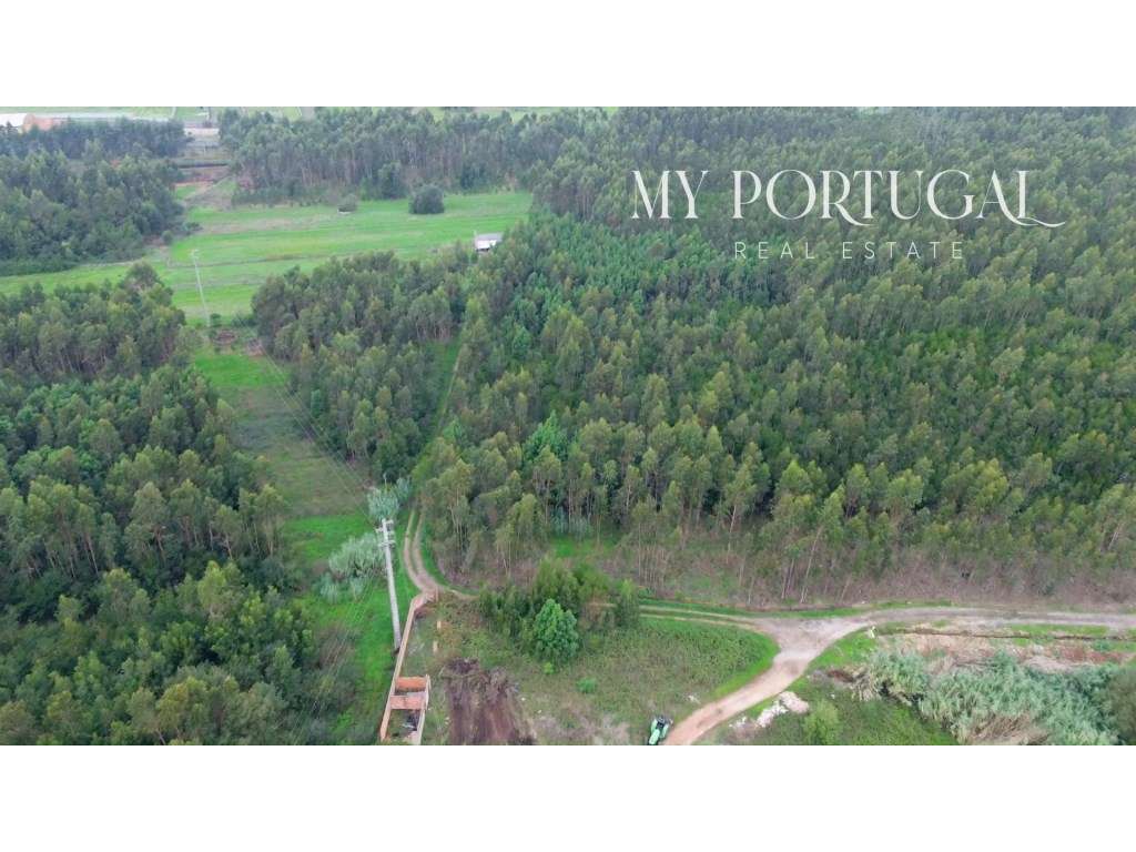 Terreno para Construção de 32.500 m² com Viabilidade Turística e In...-30