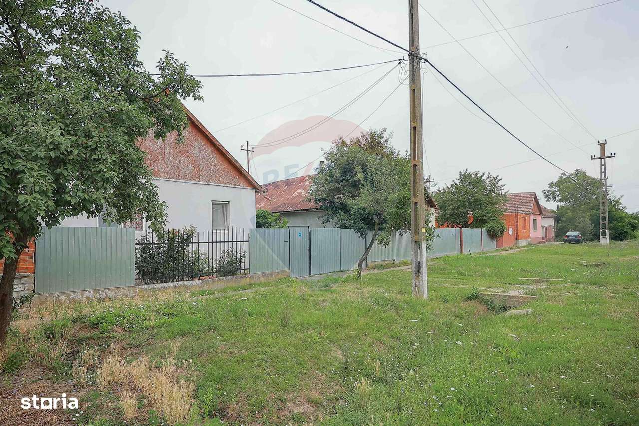 De vânzare casă cu 3 camere și teren 3205 mp în Sânnicolau Român - Imagine principală: 5/12
