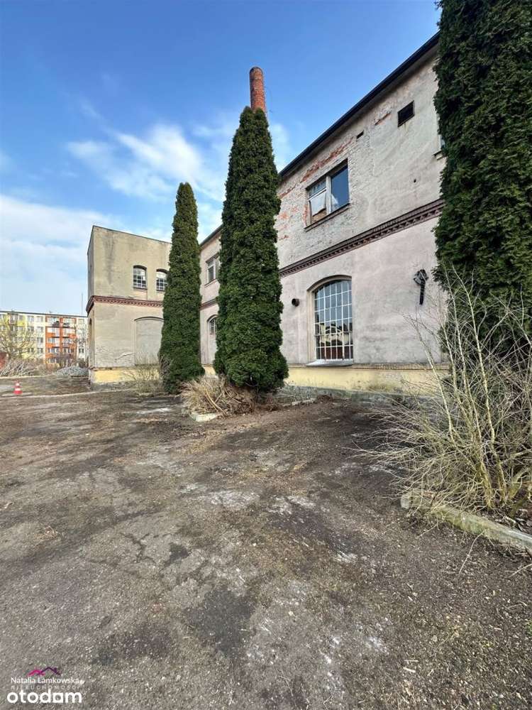 Nieruchomość gruntowa zabudowana budynkiem o powierzchni 3 459,85 m² - Pełny obrazek: 5/20