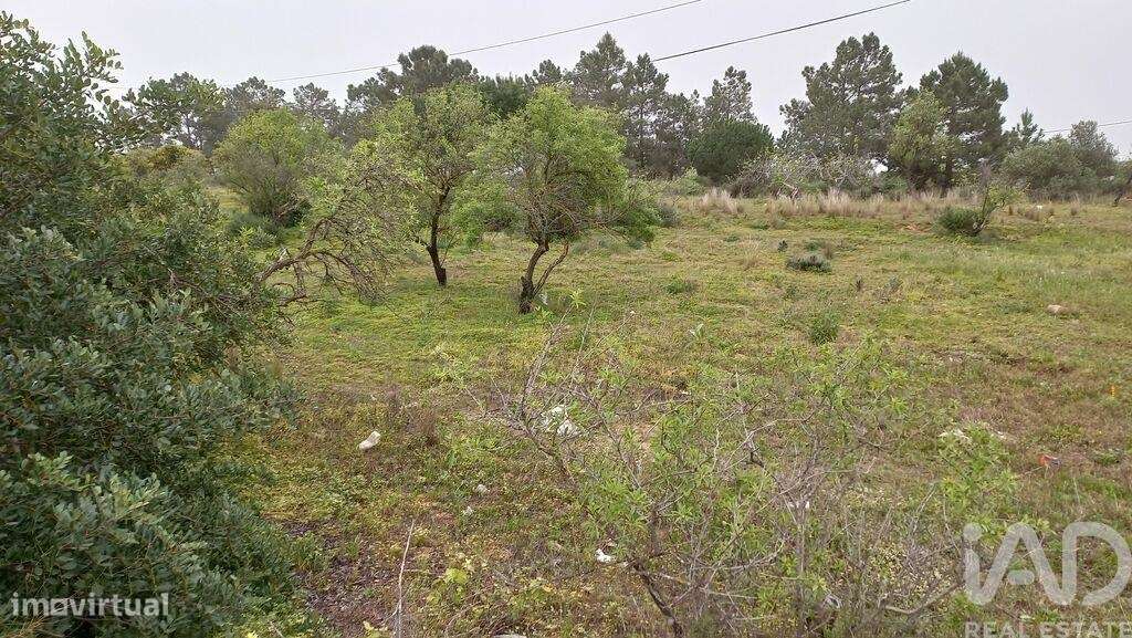 Terreno Agrícola em Quarteira de 3500,00 m2 - Grande imagem: 5/7