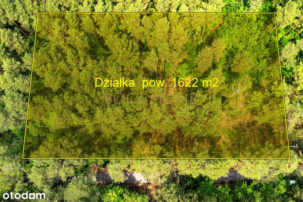 Działka leśno-budowlana 1622 m2 Zbójna Góra, Wawer-2