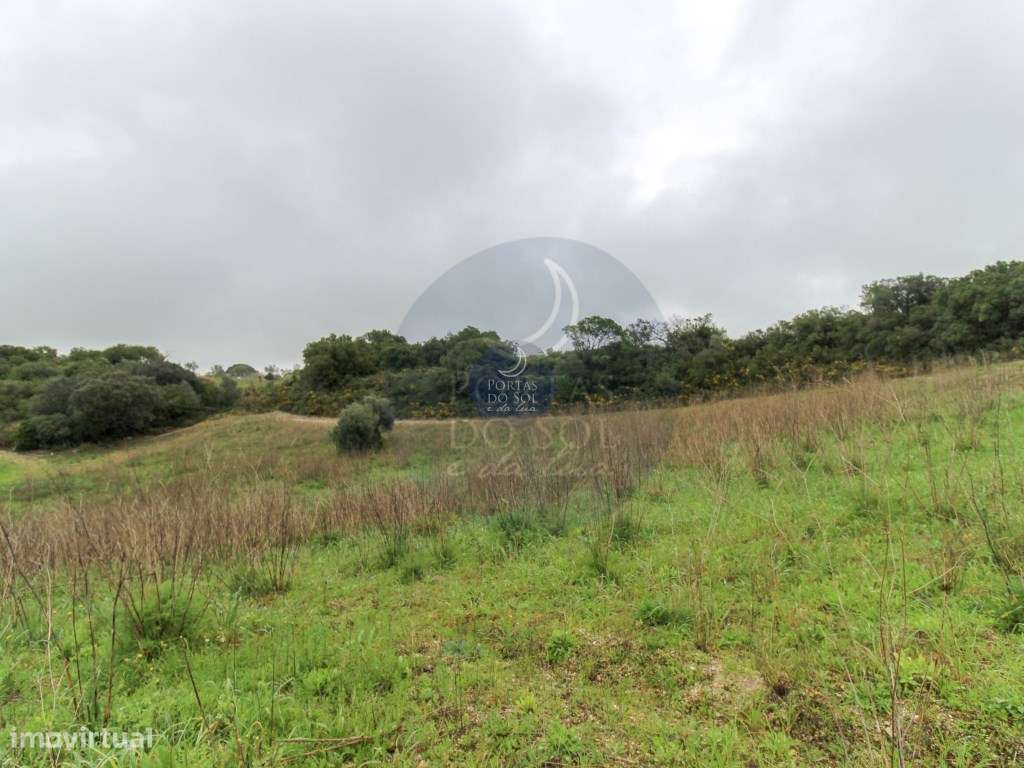 2 Terrenos Confinantes c/ 27.280 m2 e Ribeiro. - Grande imagem: 3/5