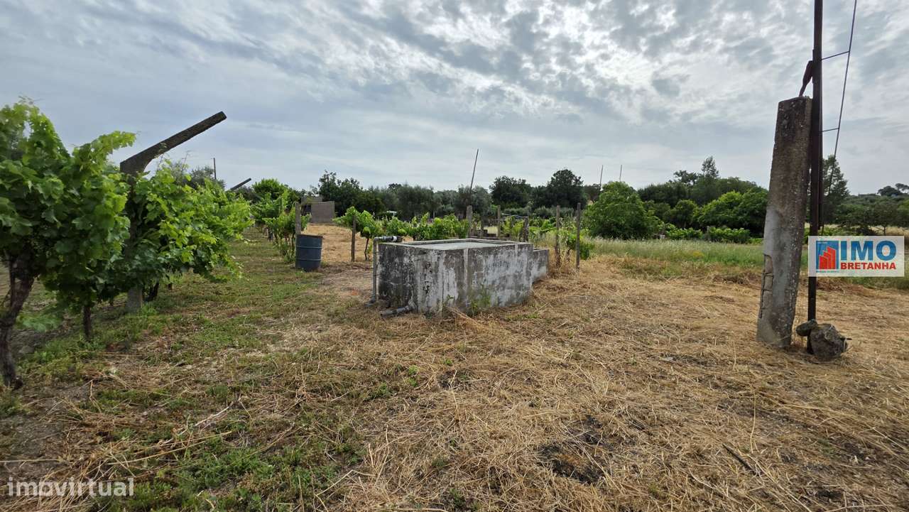 Quinta com garagem em Escalos de Cima-18