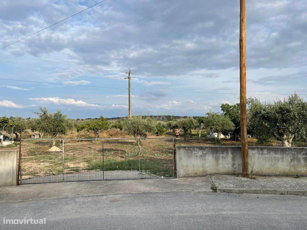 Excelente Terreno em Santa Eulalia/Elvas-10