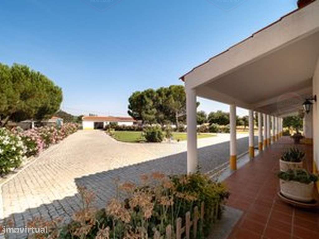 Descubra o privilégio de viver no coração do Alentejo!-11