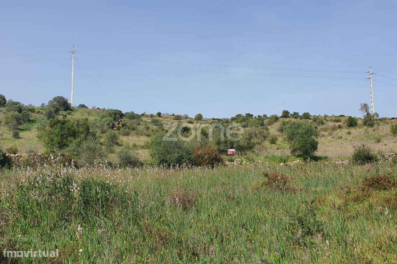 Terreno Rústico -Natureza, História e Tranquilidade na Terrugem Sin... - Grande imagem: 3/26