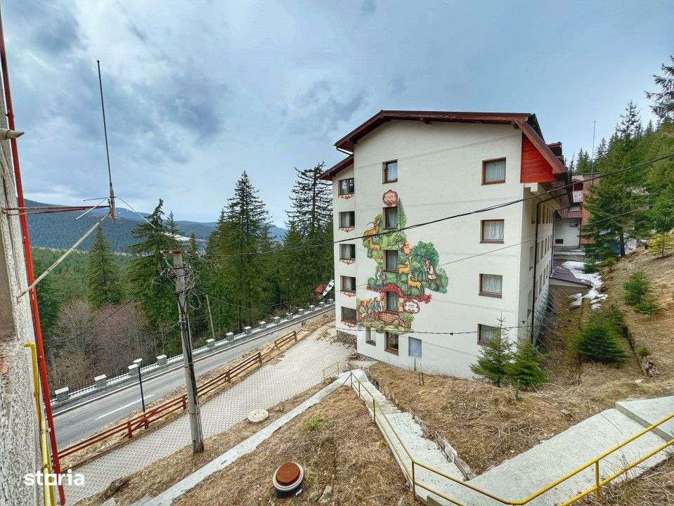 Apartament 2 camere in mijlocul naturii-Statiunea Paltinis-10