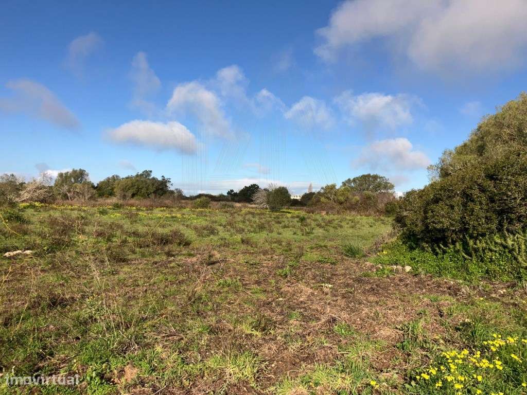 Terreno à venda em Pinheirinhos - Sesimbra (Castelo) - Grande imagem: 3/9