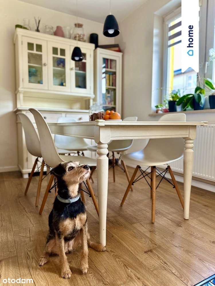 Ul. Pychowicka | Zakrzówek 1 min spacerem - Pełny obrazek: 3/15