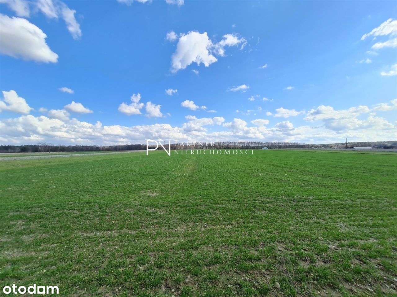 Płaski teren - idealny pod budowę - Pełny obrazek: 4/5