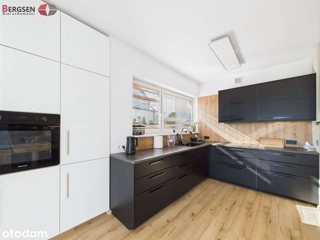 Nowiczesny, cisza, zieleń, las, jeziora, sarny-3