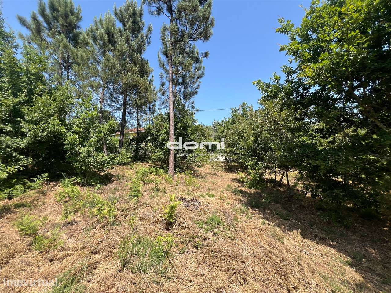 Terreno com viabilidade de construção – São Pedro do Sul - Grande imagem: 4/13