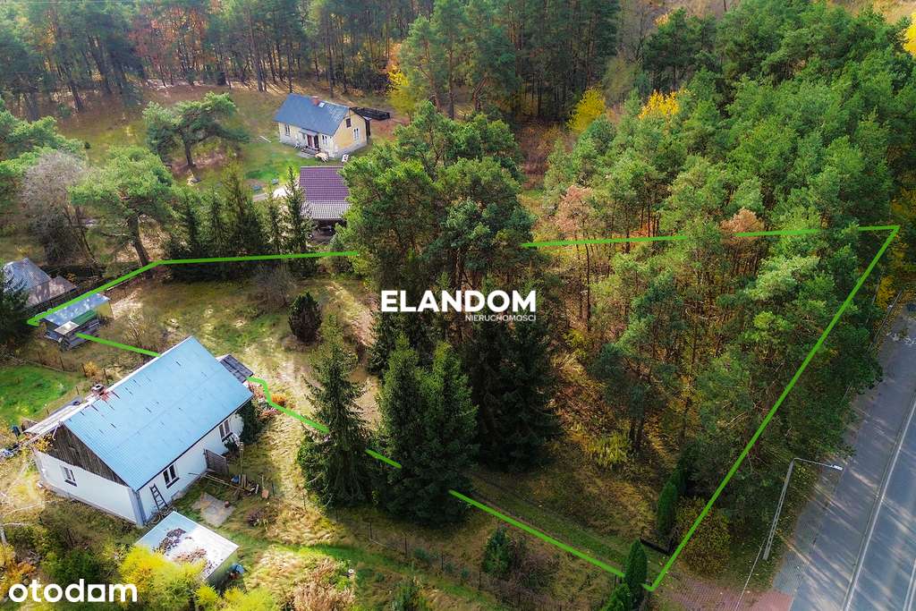 Urokliwa działka z lasem obok rzeki Mienia - Pełny obrazek: 5/8