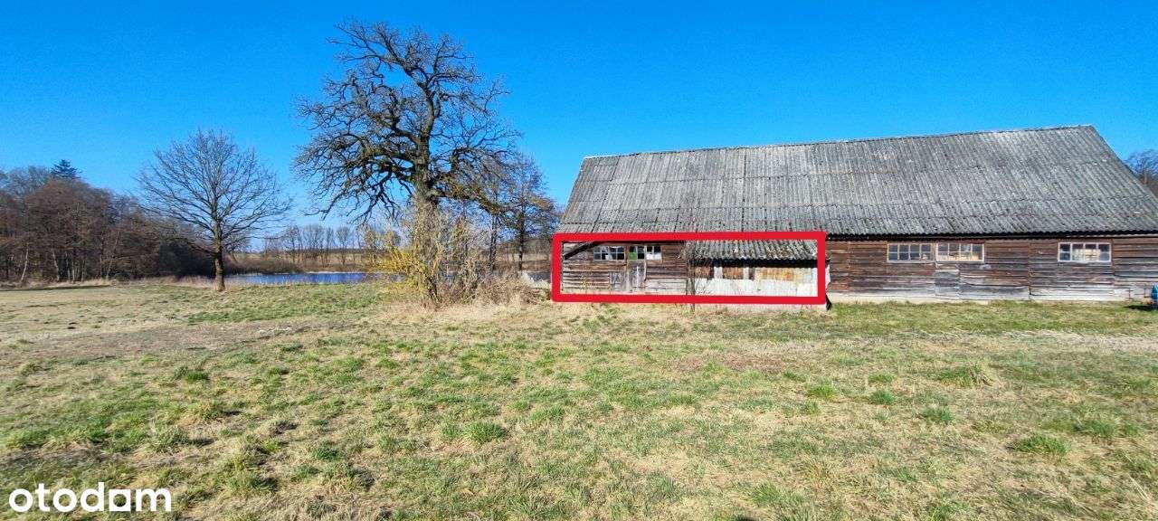 3-pokojowe mieszkanie z działką - Pełny obrazek: 5/16