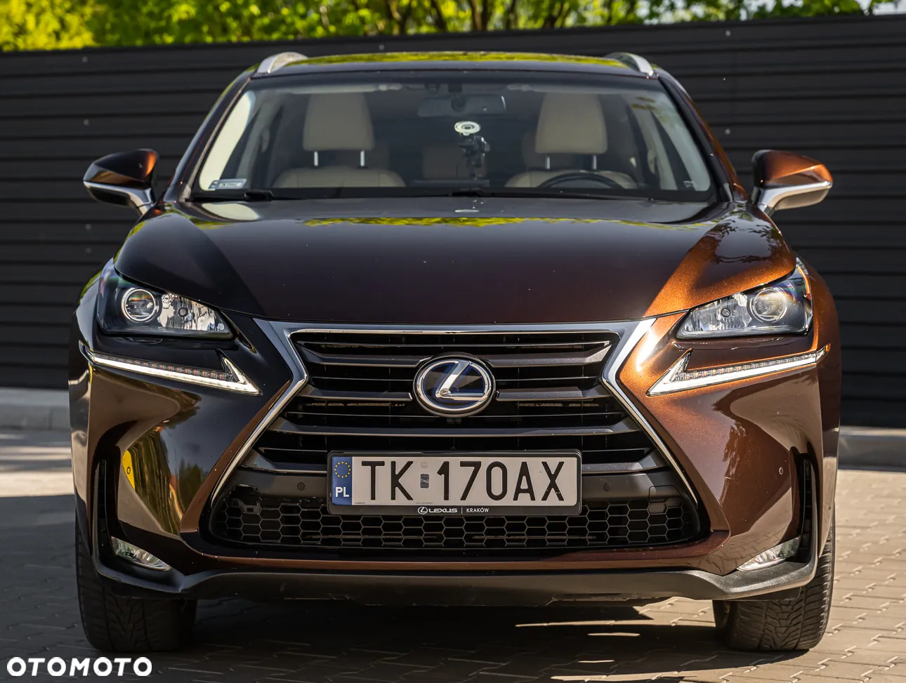 Lexus NX - 4