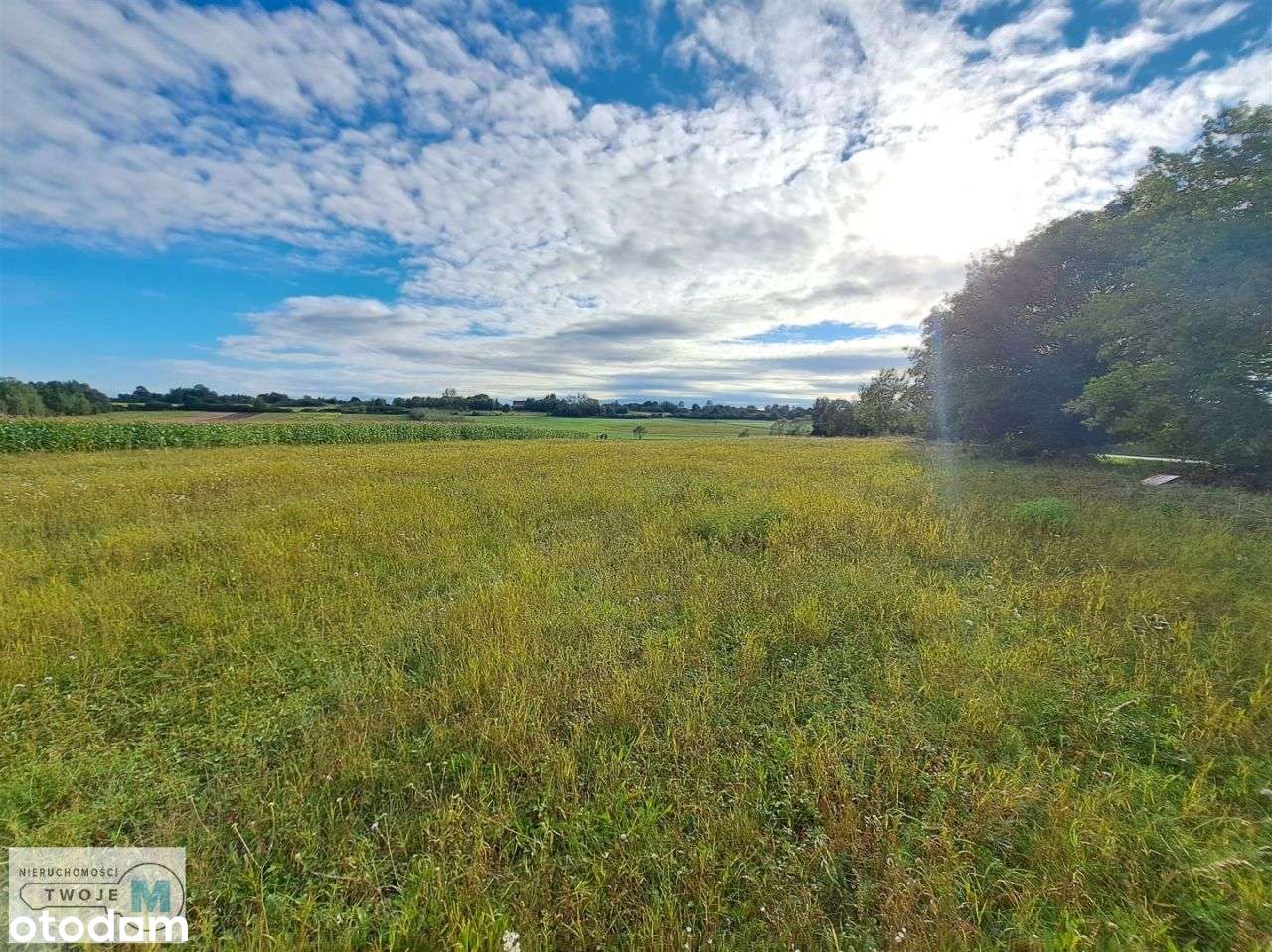 Widokowa działka idealna pod podział! - Pełny obrazek: 2/9