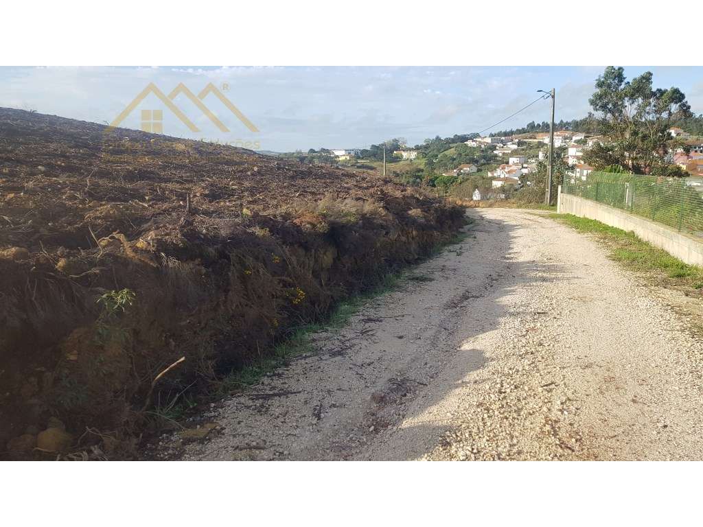 Terreno Rústico na Fonte Grada, Torres Vedras - Grande imagem: 4/5