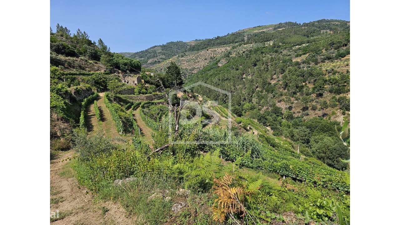 Quinta  Venda em Várzea de Abrunhais,Lamego-7