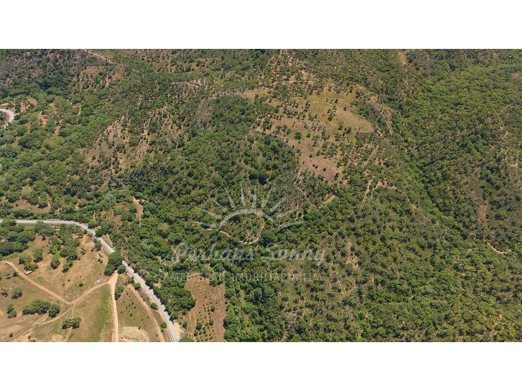 Propriedade Rústica de Montado com Ribeira | 22,6 Hectares | Serra ...-9