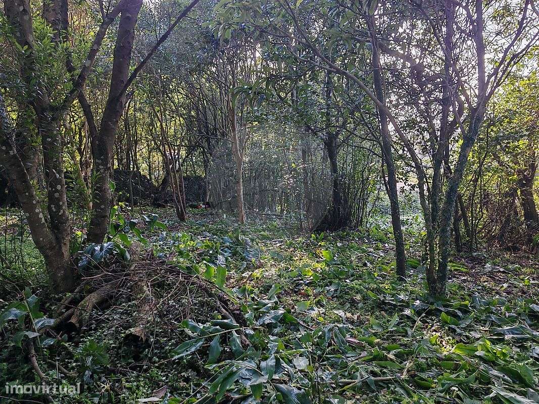 Terreno  para venda - Grande imagem: 4/10