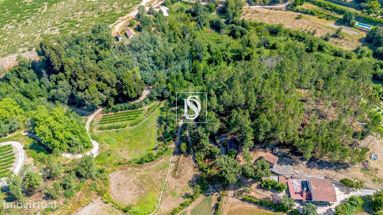Quinta T4 Venda em Gondar,Amarante-27