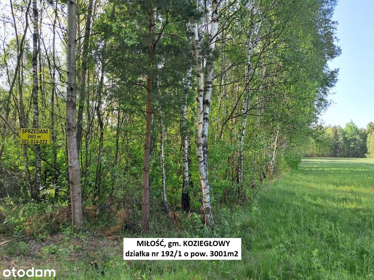 Miłość działka dla ukochanej :-) 3001m2 cena tylko 29.900zł-16