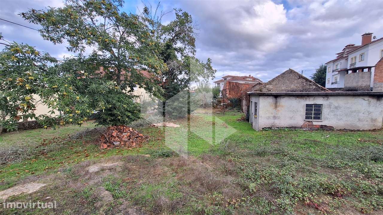 Moradia Devoluta T0 Venda em Molelos,Tondela-7