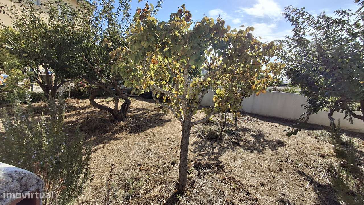 Magnífica propriedade constituída por moradia bi-familiar e armazém.-15