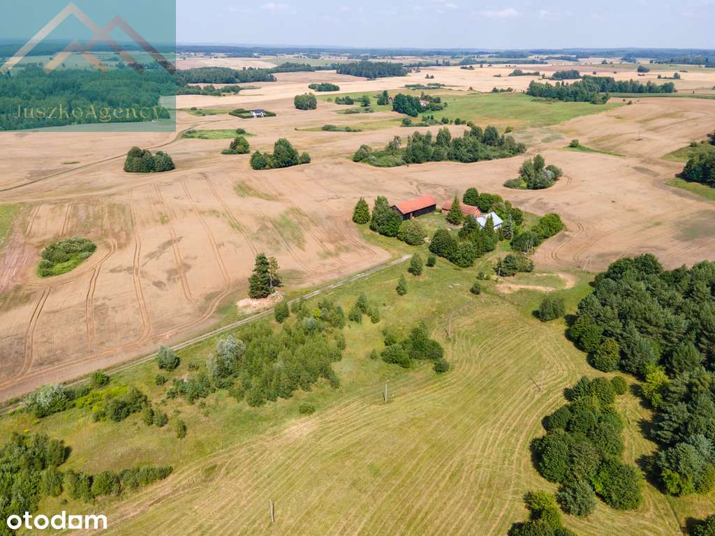 Nowa cena! Duża działka siedliskowa pod lasem. - Pełny obrazek: 5/8