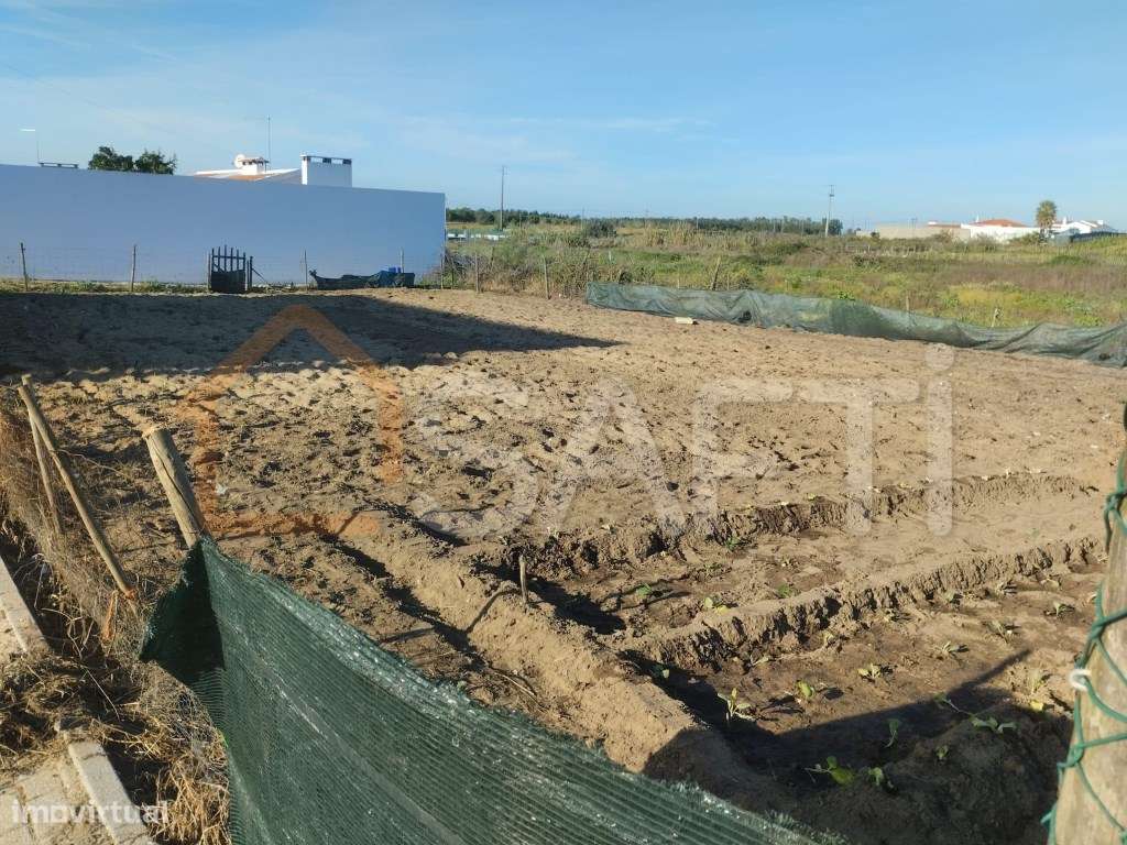 Vende-se Lote Terreno Urbano Alpiarça - Grande imagem: 4/5