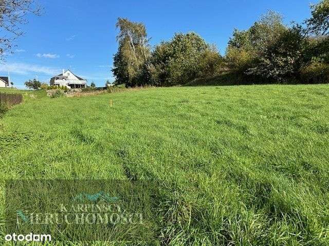 Nieduża działka z pięknym widokiem. - Pełny obrazek: 3/5