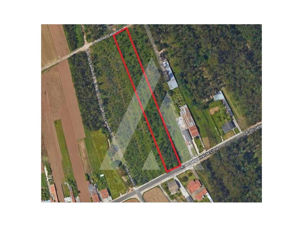 Terreno com viabilidade para construção de moradias - São João de O... - Grande imagem: 5/5