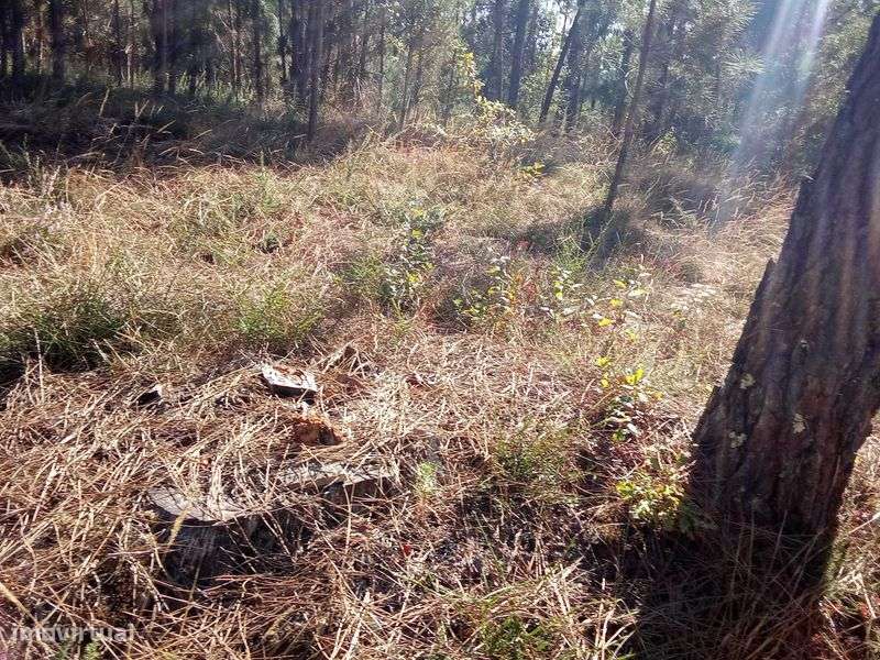 Vendo um terreno urbano - Grande imagem: 5/8