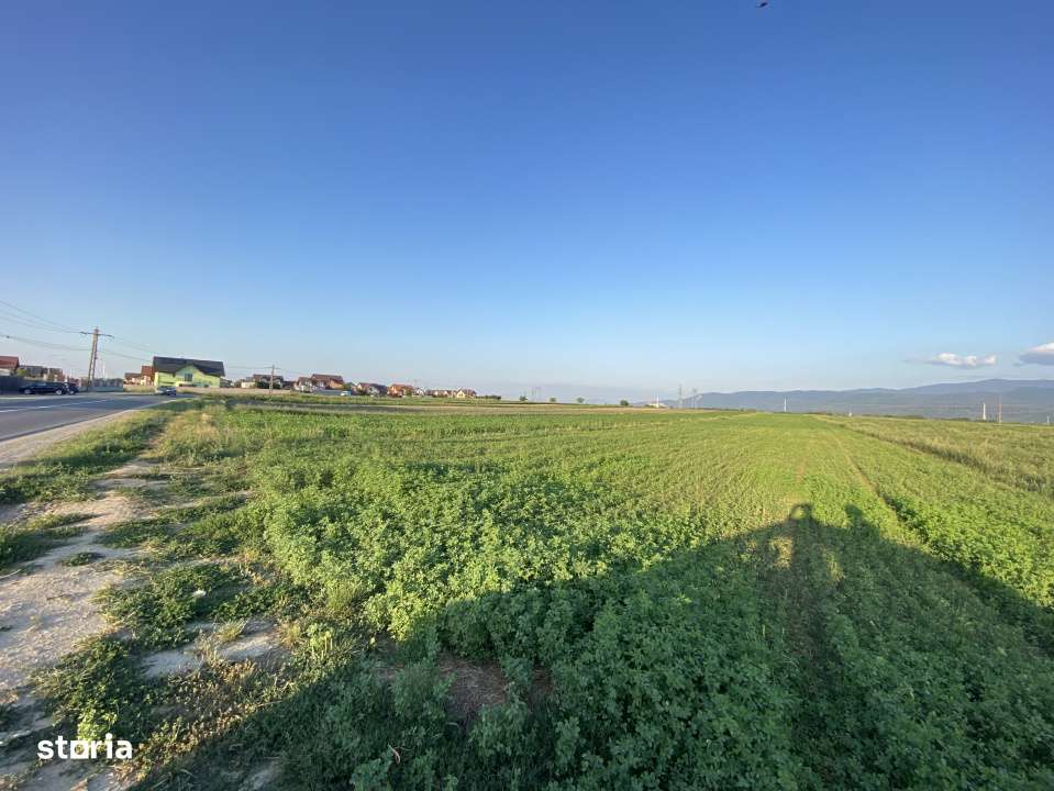 Teren extravilan de vanzare -5750 mp- deschidere la DJ 112B- Intrarea - Imagine principală: 1/3