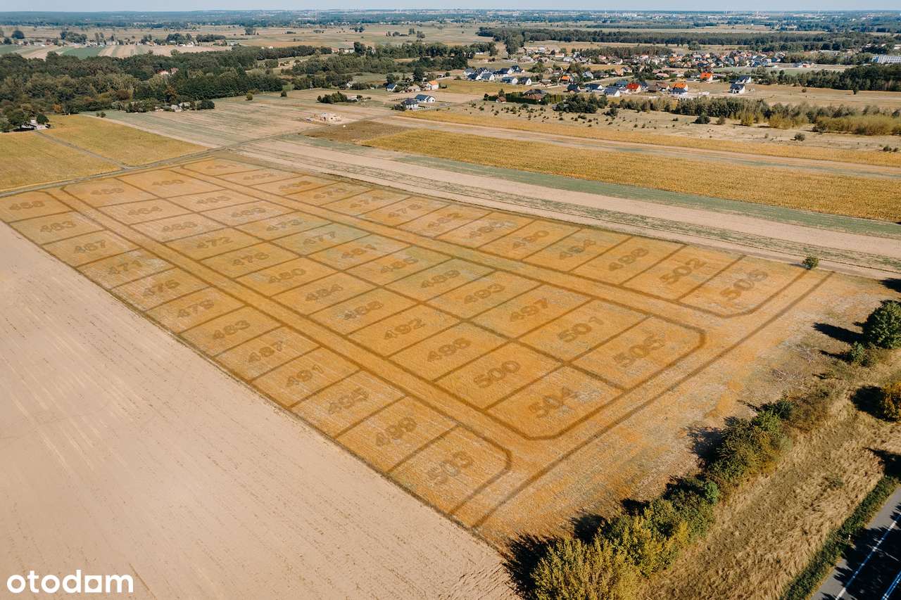 Działki wsród pól i lasów - gm. Kościelec-5