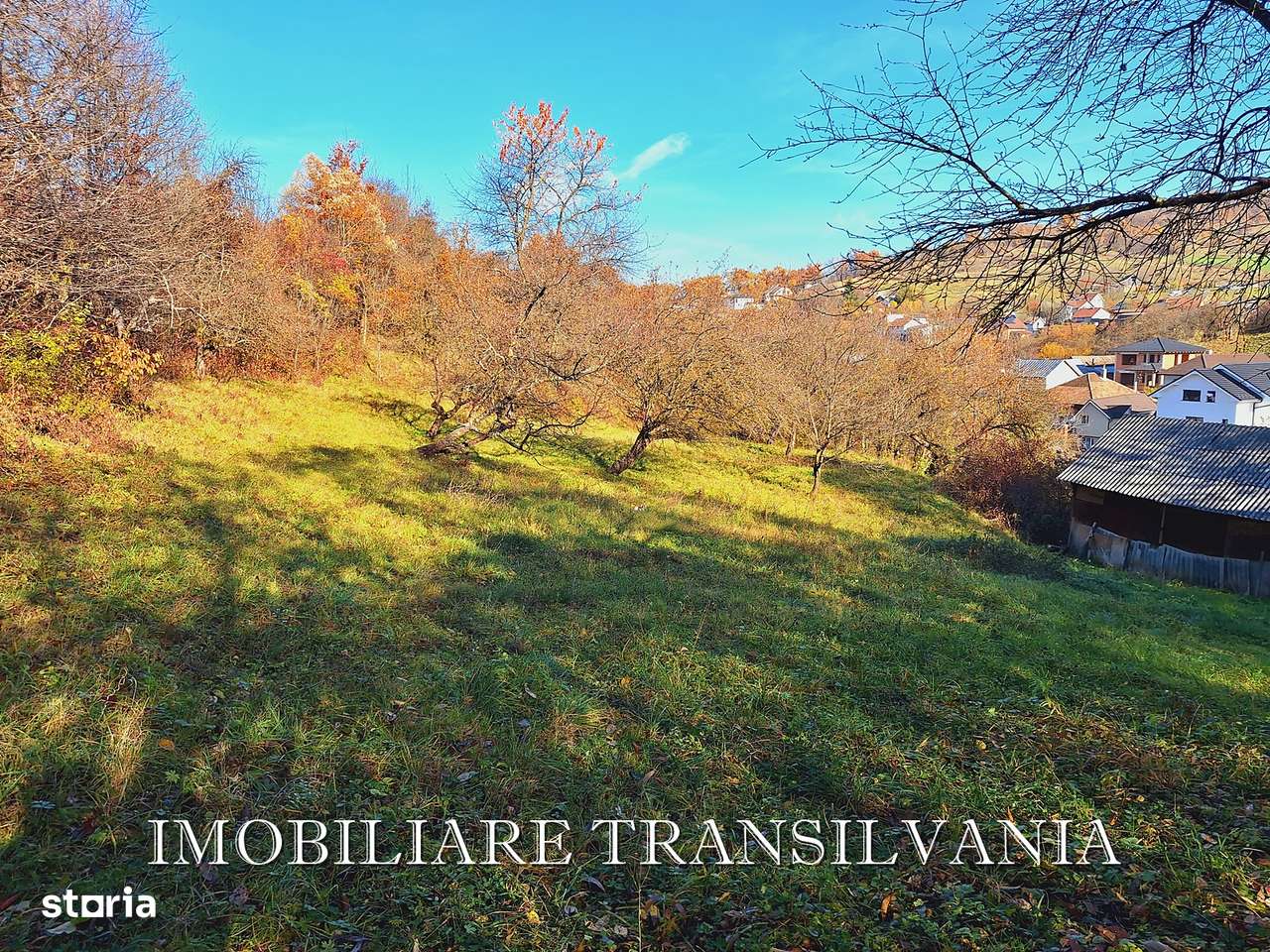 Teren intravilan 4200mp si casa - Valea Budacului-8