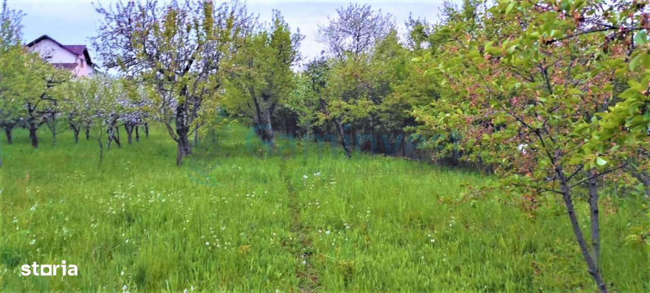 Teren de vanzare, zona Dealuri, Oradea, Bihor,Gaminvest,V3155A - Imagine principală: 2/5